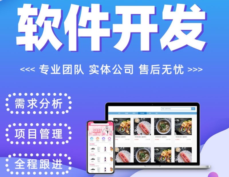 广州软件开发市场现状与未来趋势